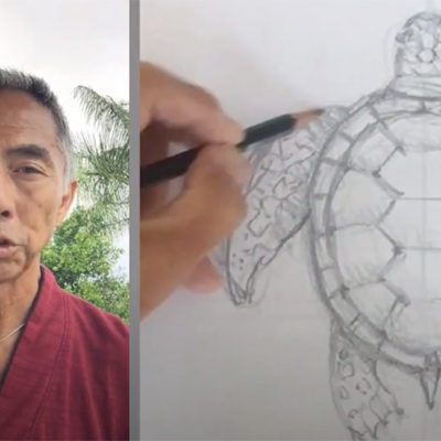Endangered Species of Hawaii “How to Draw” Art Series